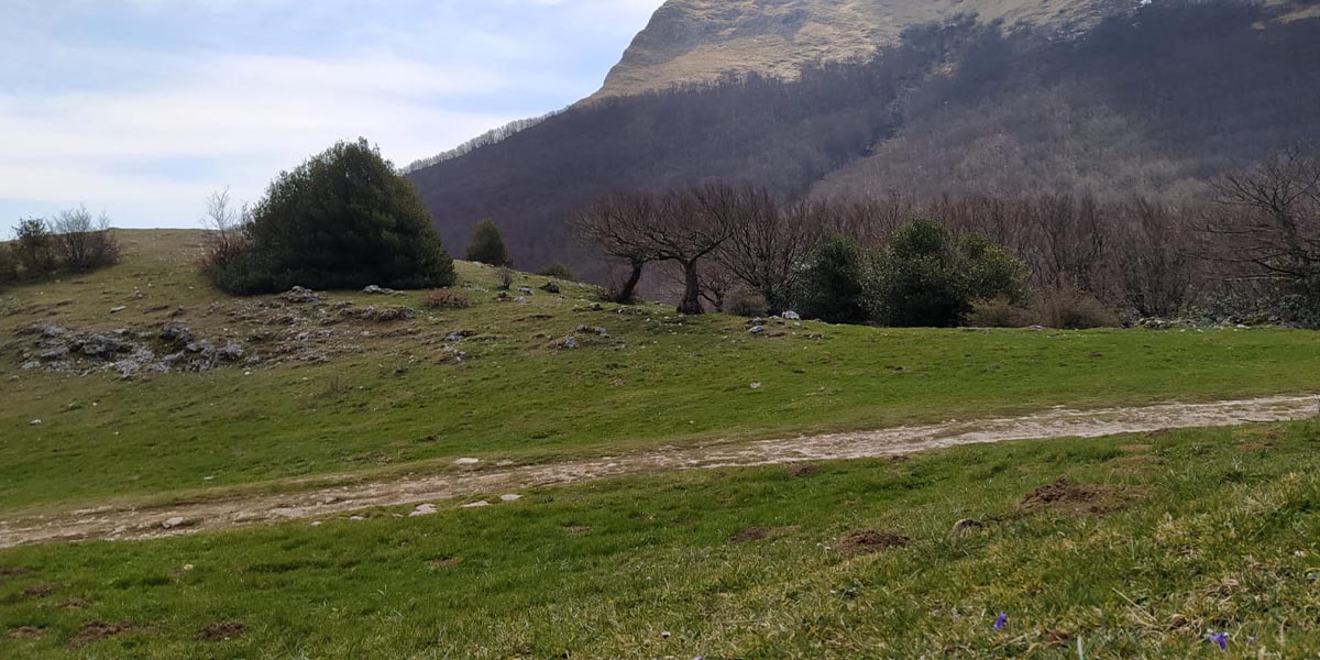 Sentieri Del Monte Cucco Escursioni A Piedi E In Mountain Bike A Sigillo